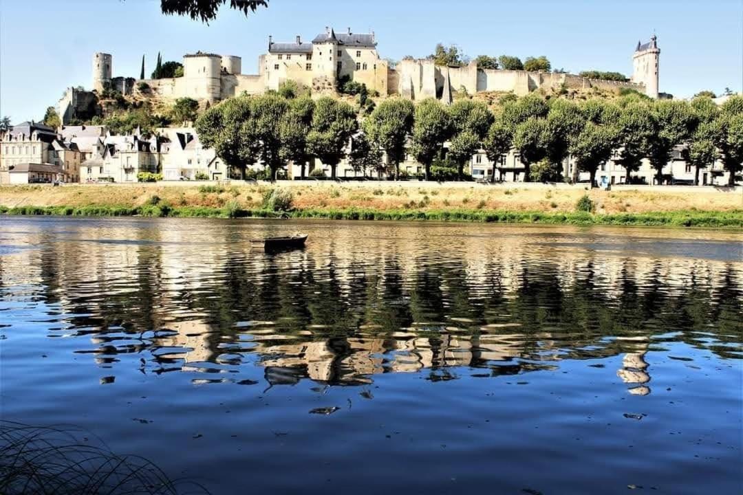 Au Coeur De La Cite Medievale Appartement Chinon